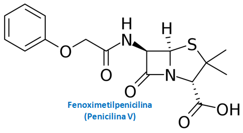 A estrutura química da penicilina V é identificada facilmente pela presença do anel lactâmico.