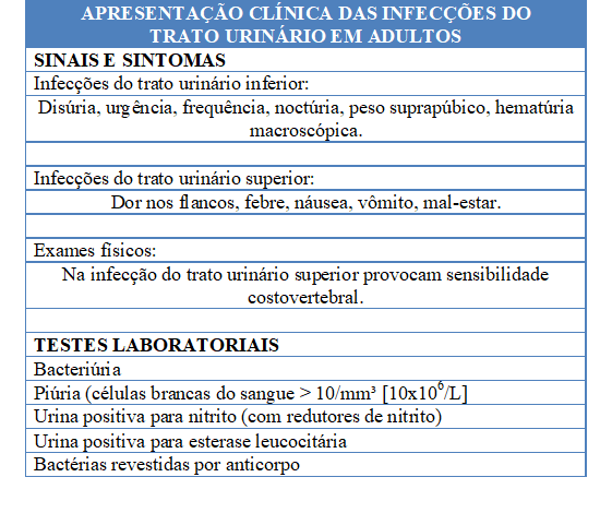 Sinais, sintomas e testes laboratoriais para confirmação de infecção urinária.