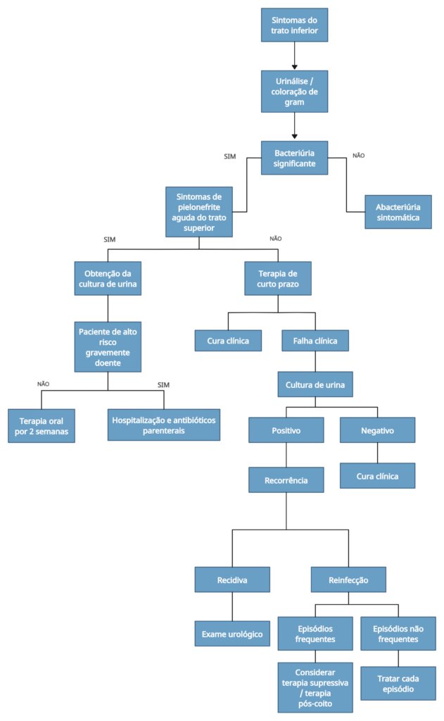 Fluxograma de infecção urinária em mulheres.