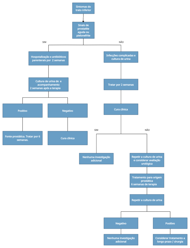 fluxograma das infecções urinárias em homens