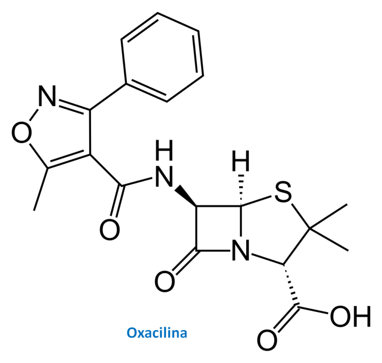 A oxacilina presenta o anel lactâmico característico com um radical volumoso com um anel pirrólico com hétero átomo e uma fenila